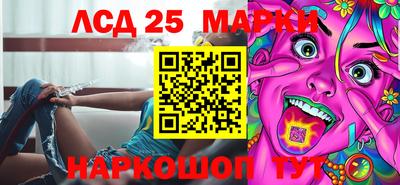 прущие грибы Камышлов