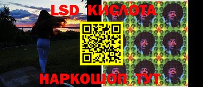 прущие грибы Камышлов