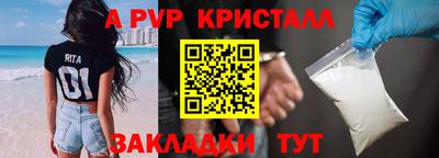 прущие грибы Камышлов