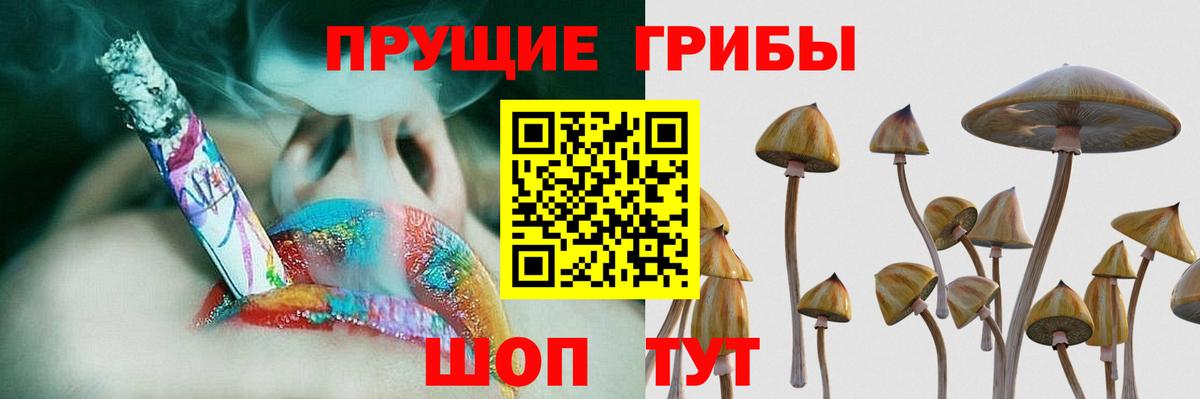 Ивантеевка  магазин  наркотиков  Вход с VPN  Галлюциногенные грибы MAGIC MUSHROOMS 